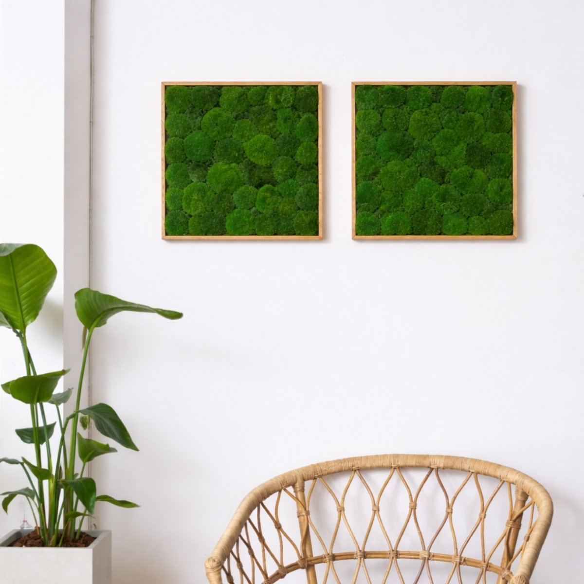 Pudemosbillede, 50x50 cm, m/egetræsramme