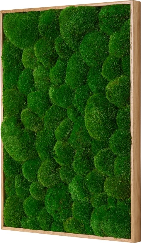 Pudemosbillede, 50x70 cm, m/egetræsramme