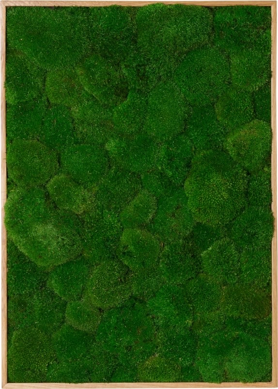 Pudemosbillede, 70x100 cm, m/egetræsramme