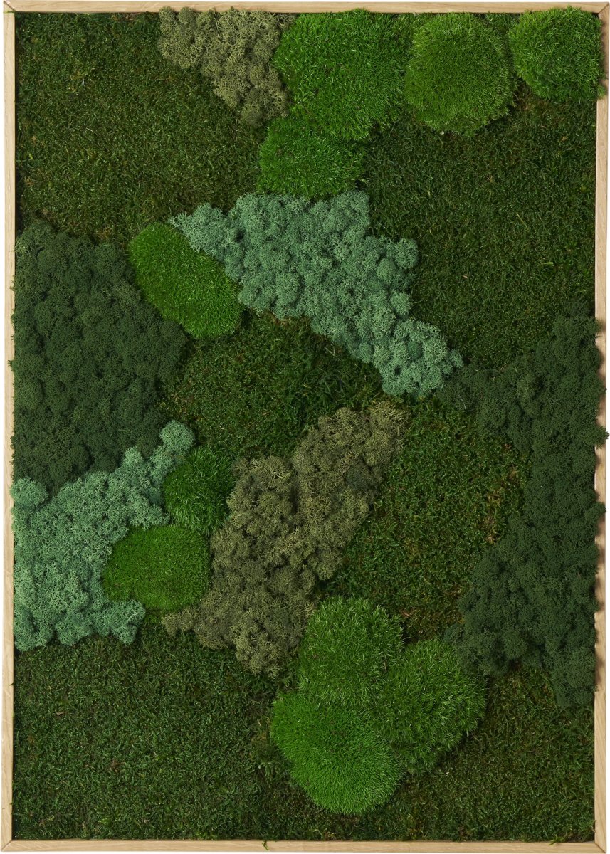 Mosbillede Mix 013, 50x70 cm, m/egetræsramme