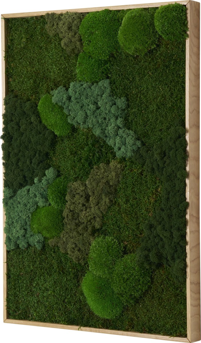 Mosbillede Mix 013, 50x70 cm, m/egetræsramme