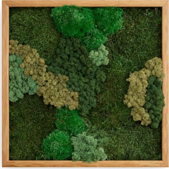 Mosbillede Mix 013, 50x50 cm, m/egetræsramme