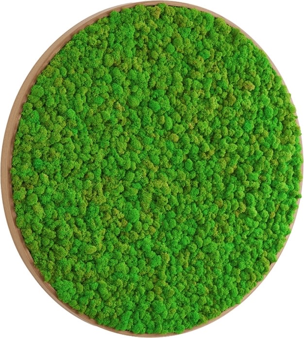 Rensdyrmosbillede Ø50 cm, m/egetræsramme