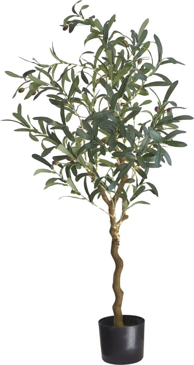 Sirius Oliva Oliventræ, inkl. LED lys, H120 cm