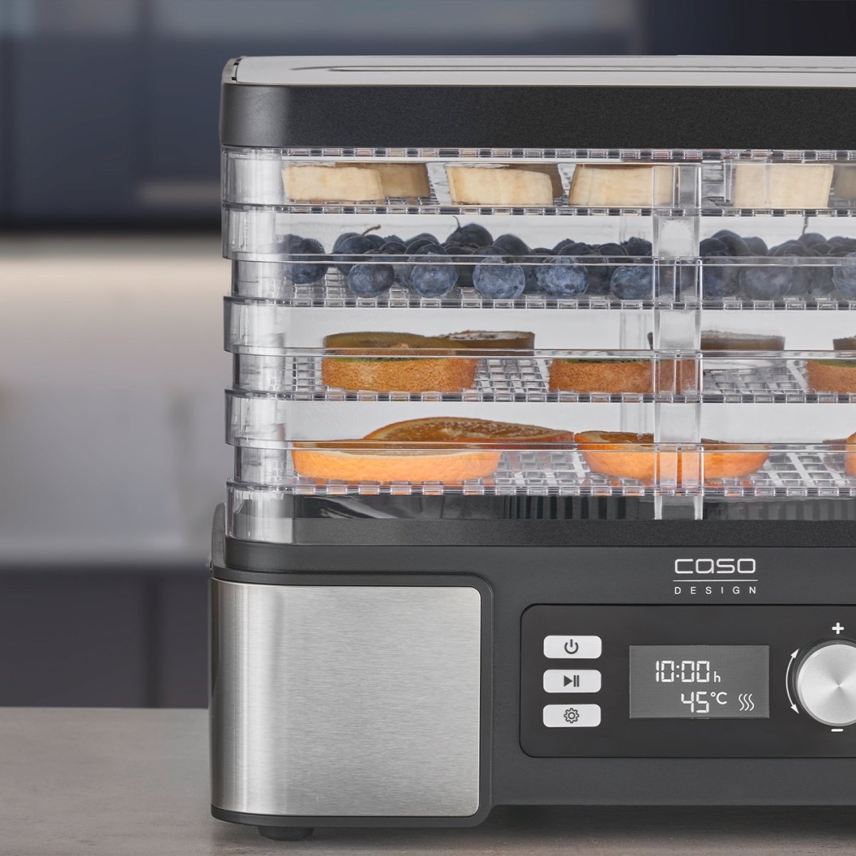 Caso Dehydrator - DH 450, 30°-70°C