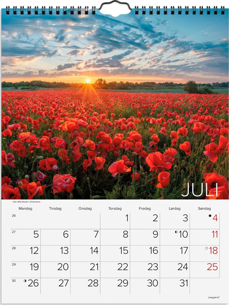 Mayland 2027 Vægkalender, dansk natur