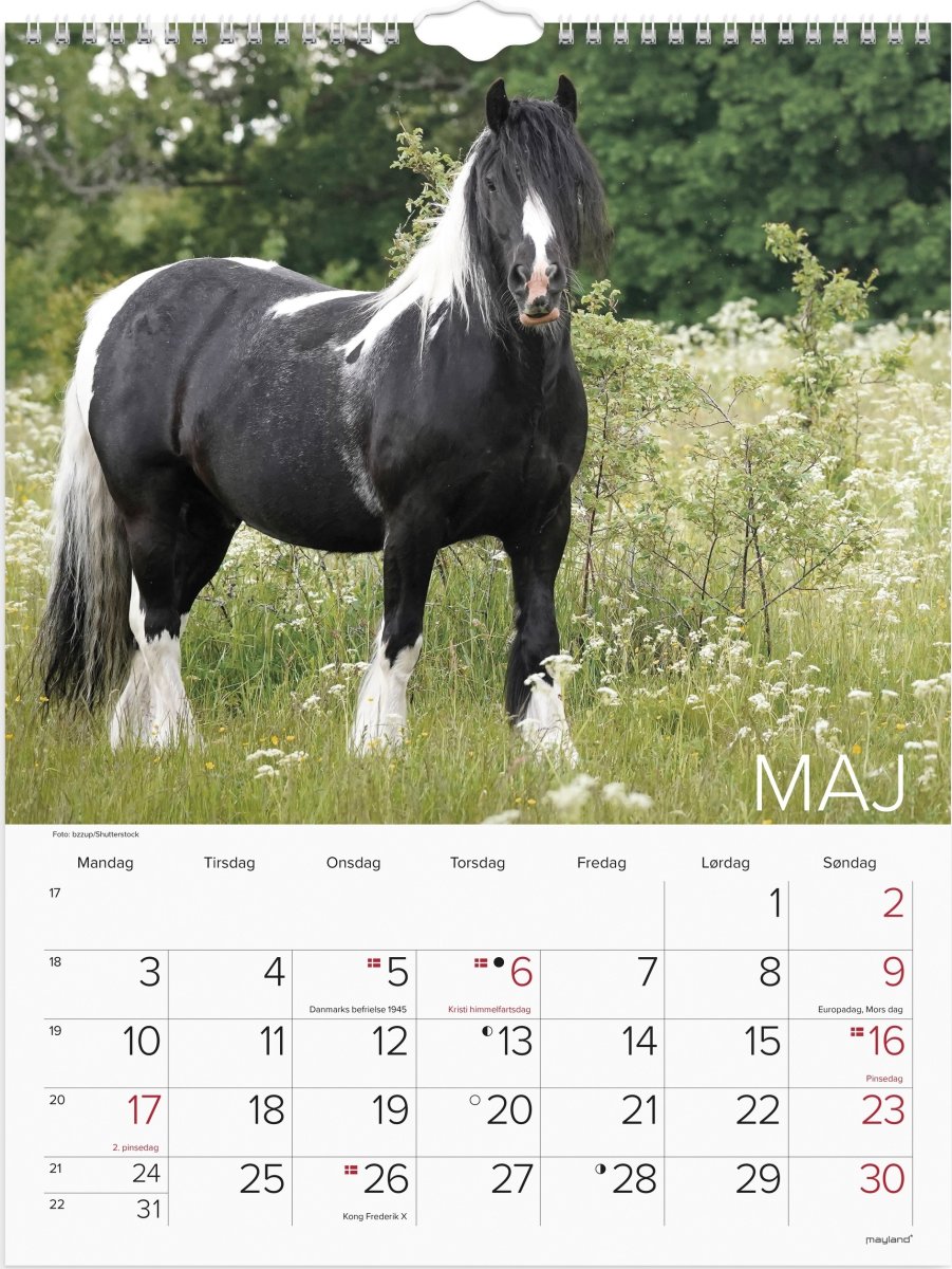 Mayland 2027 Vægkalender, heste
