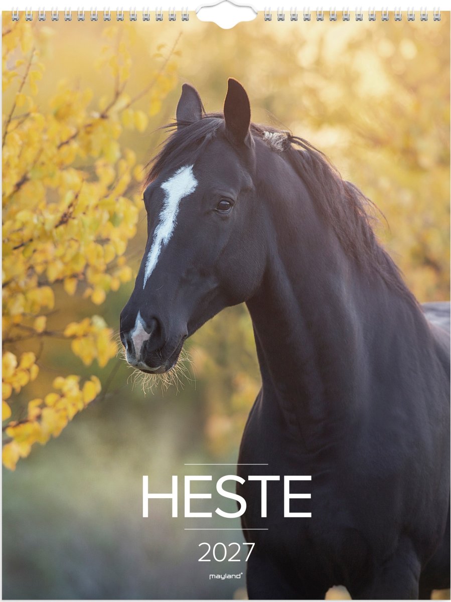 Mayland 2027 Vægkalender, heste