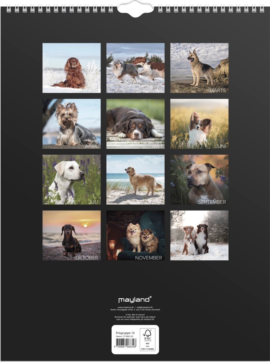 Mayland 2027 Vægkalender, hunde