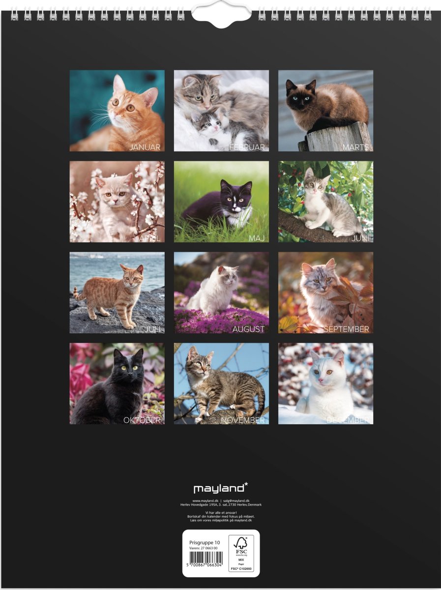 Mayland 2027 Vægkalender, katte