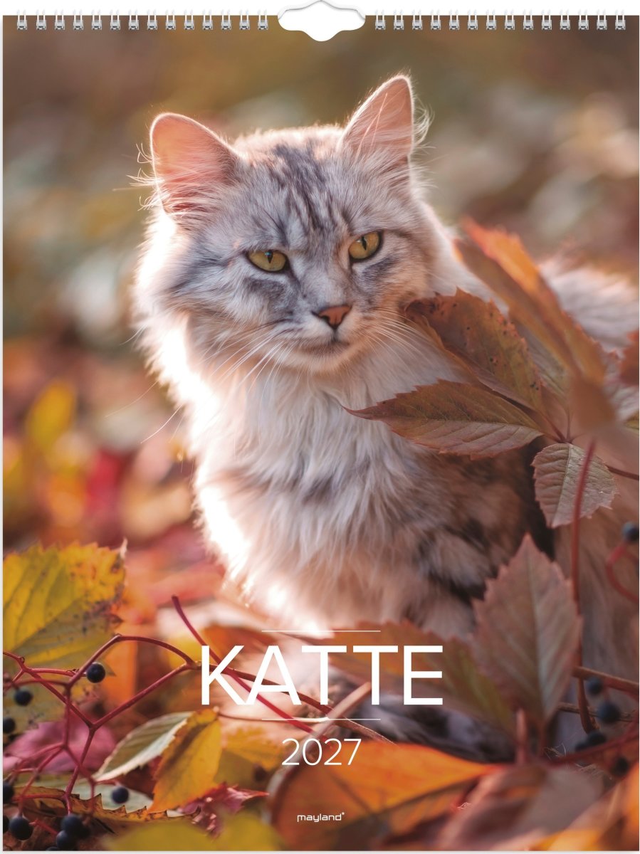 Mayland 2027 Vægkalender, katte
