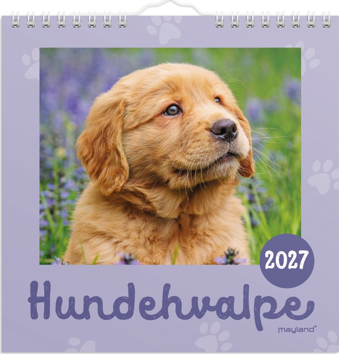 Mayland 2027 Vægkalender, Mini, hundehvalpe