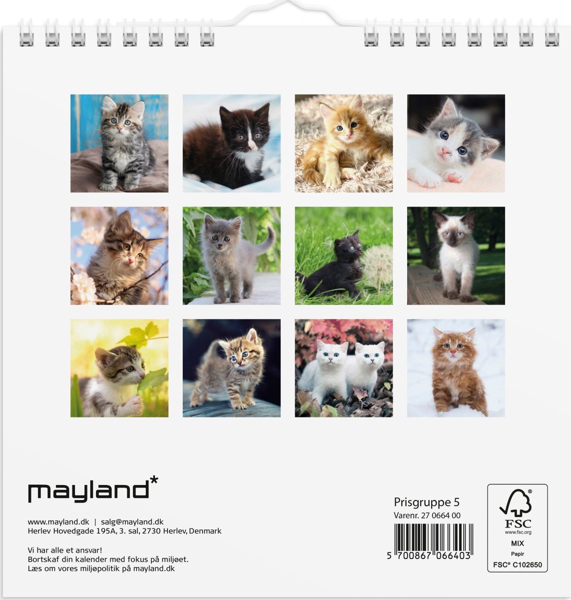 Mayland 2027 Vægkalender, Mini, kattekillinger