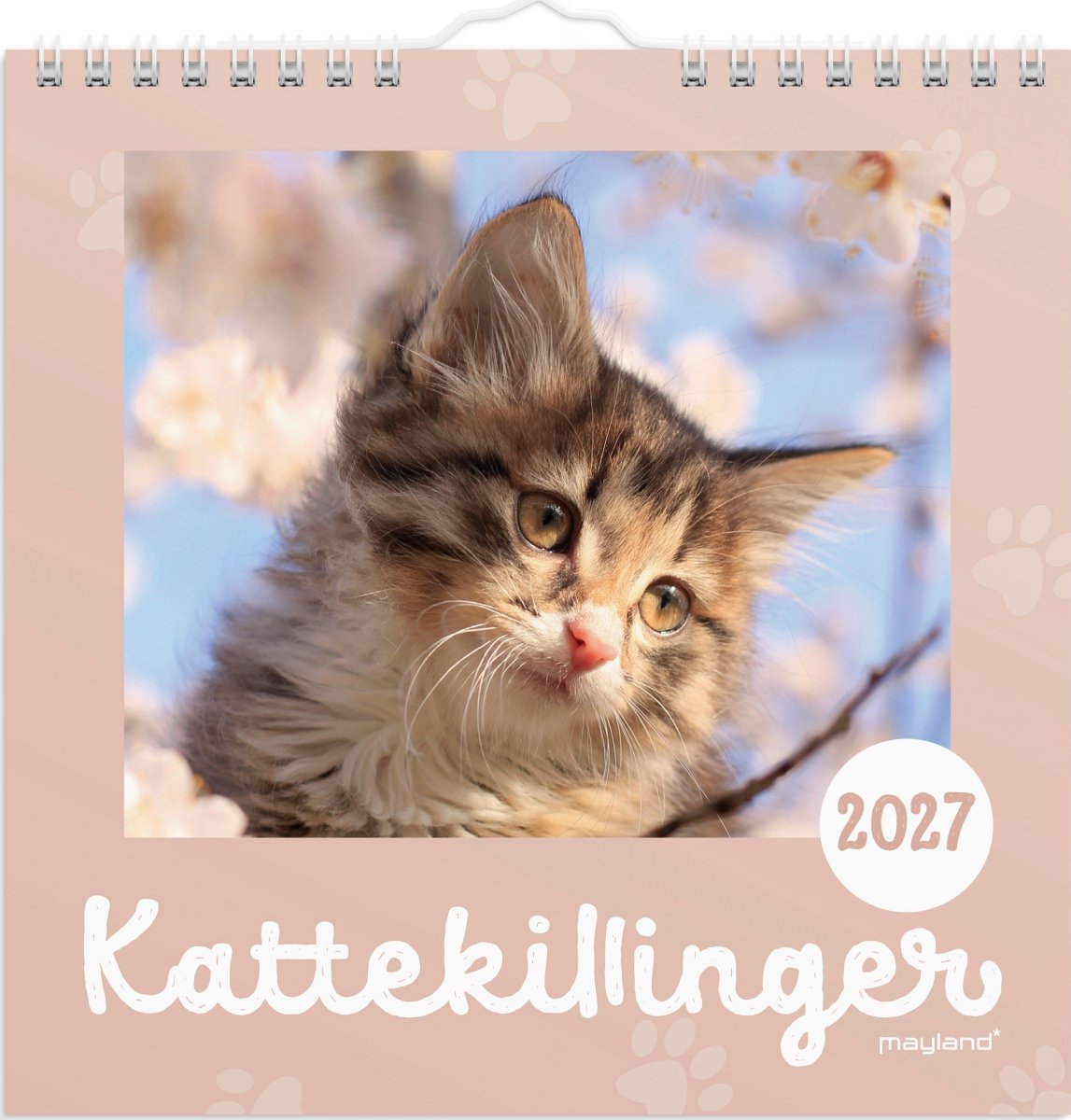 Mayland 2027 Vægkalender, Mini, kattekillinger