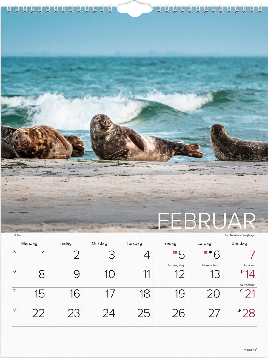 Mayland 2027 Vægkalender, verdens dyr