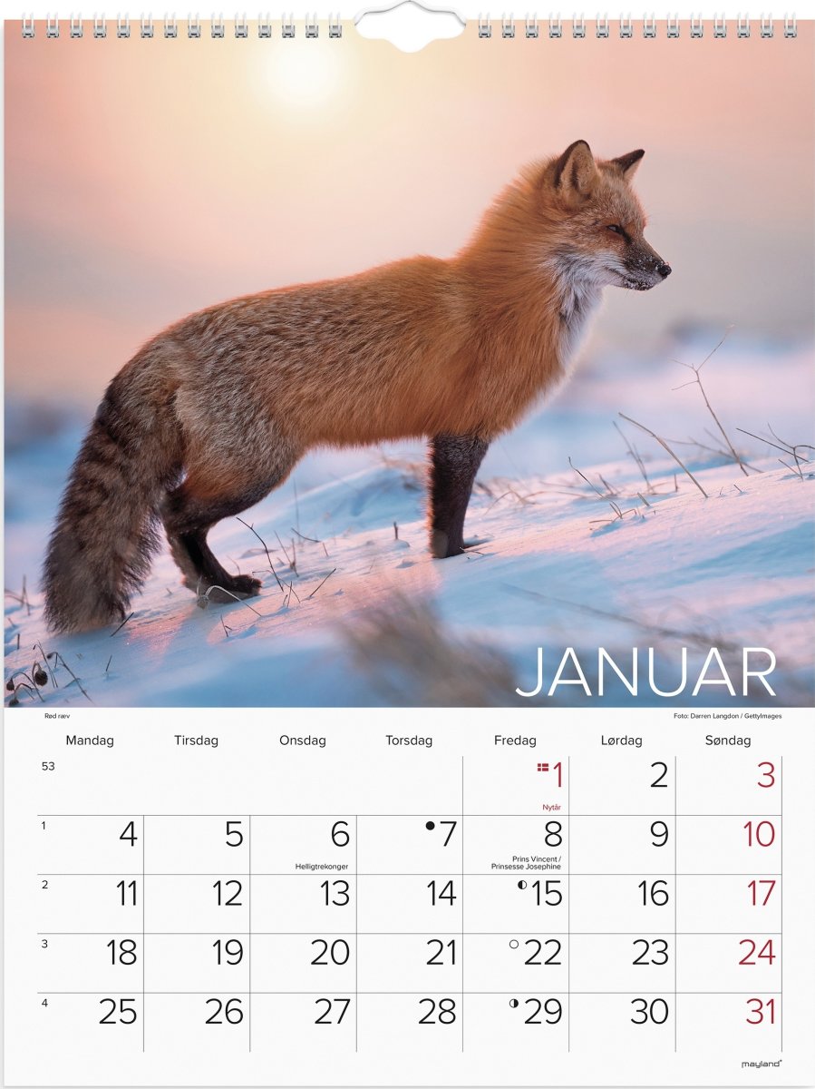 Mayland 2027 Vægkalender, verdens dyr