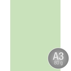 Image Coloraction A3, 80g, 500ark, Pastel Green