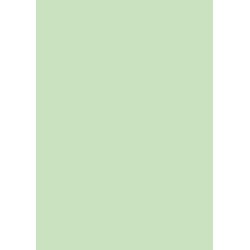 Image Coloraction A4, 120g, 250ark, Pastel Green