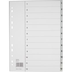 Register Budget A4 1-12 Plast