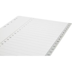 Budget Register | A4 | Plast | 1-20