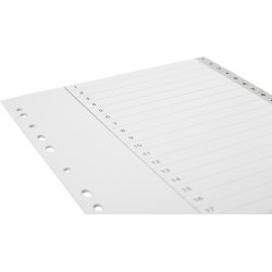 Budget Register | A4 | Plast | 1-20