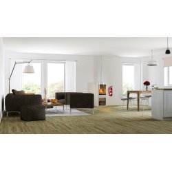 Housegard Pulverslukker | 2 kg | Rød