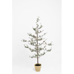 Lärkträ H135 cm