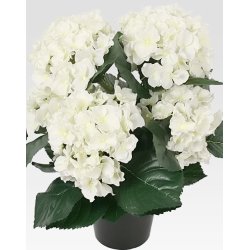 Hortensia 35 cm, vit