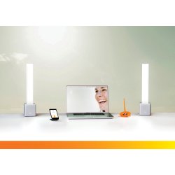 Needlite bordlampe 