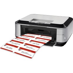 Avery L4728 -20 navneskilt 60x90 mm 