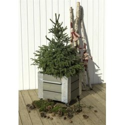 Plus Cubic Blomsterkasse 46x50x45, Gråbrun