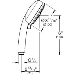 Grohe New Tempesta Cosmopolitan 100 Håndbruser