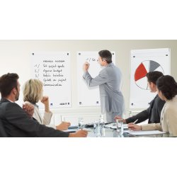 Oxford SC Flipoverpapir, blank, 65x80cm, 20ark