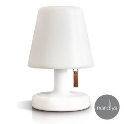 Gave: Nordlys LED lampe 