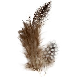 Pärlhönsfjädrar | Brun/natur | 100 st.