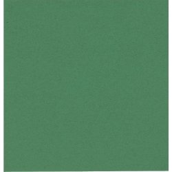 Papirserviet 33 x 33cm, 2-lag, 100stk, grøn