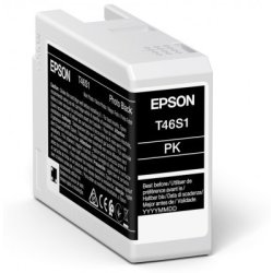 Epson C13T46S100 blækpatron, foto sort