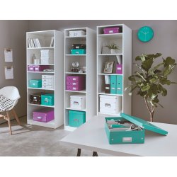 Leitz Click & Store Organizer boks lille, isblå