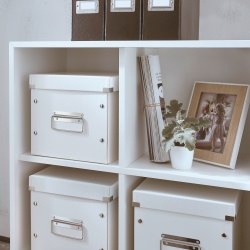 Leitz Click & Store Opbevaringsboks medium, hvid