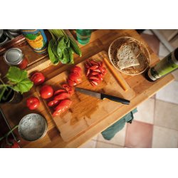 Fiskars Functional Form Tomatkniv