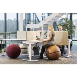 Office Ballz, balancebold Ø55 cm, Grå/hvid lynlås
