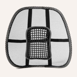 Swedish Posture Ergonomiskt svankstöd