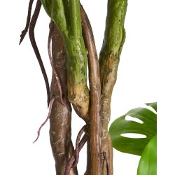 Monstera Plante inkl. potte, 180 cm
