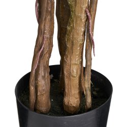 Monstera Plante H180 cm