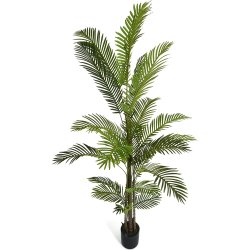 Palme Træ, 220 cm