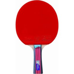 Giant Dragon TaiChi bordtennisbat - 3-stjernet
