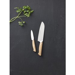 Morsø Foresta knivset, 2 delar