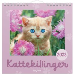 Mayland 2023 Vægkalender | Kattekillinger