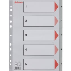 Register Esselte A4 1-5 Plast Grå