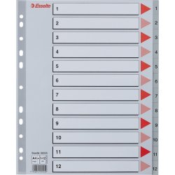 Register Esselte Maxi A4 1-12 Grå